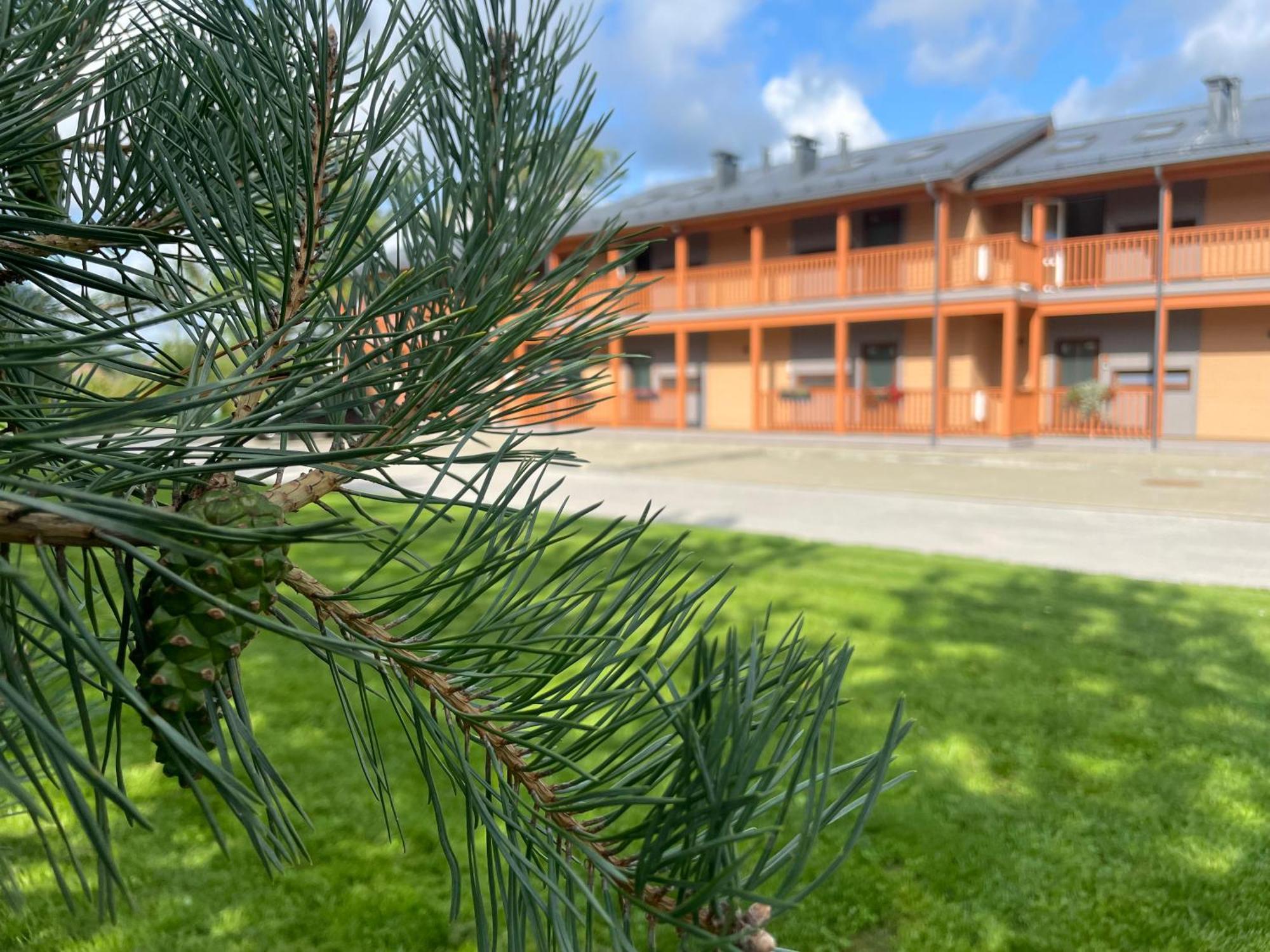 Bestes apartamenti Koceni Eksteriør bilde